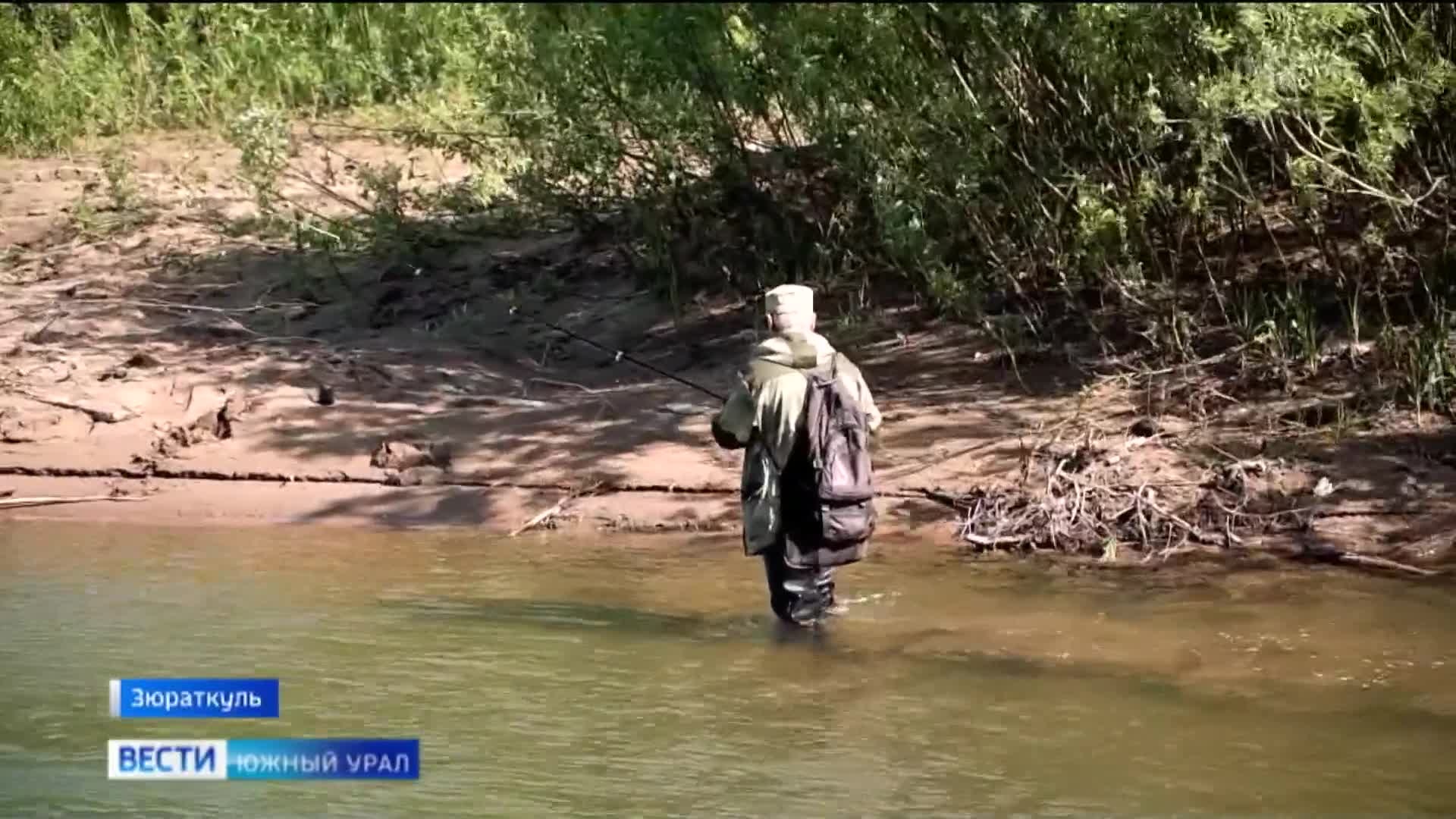 Стоп рыбалка: на Зюраткуле пытаются восстановить популяцию сиговых