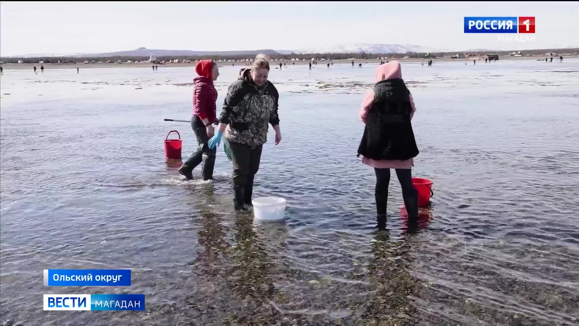 Без имени