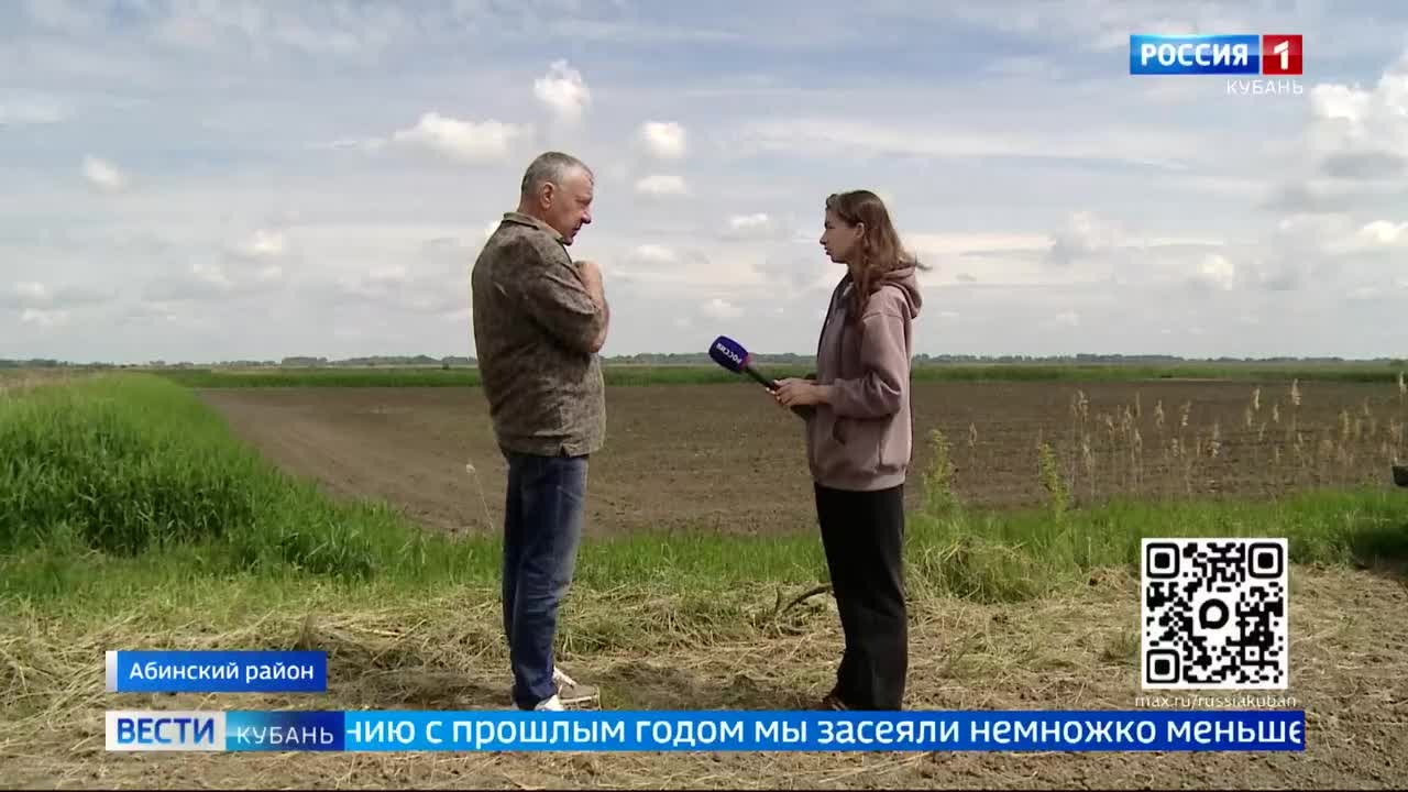 Из-за затяжных дождей сев риса начался на неделю позже на Кубани