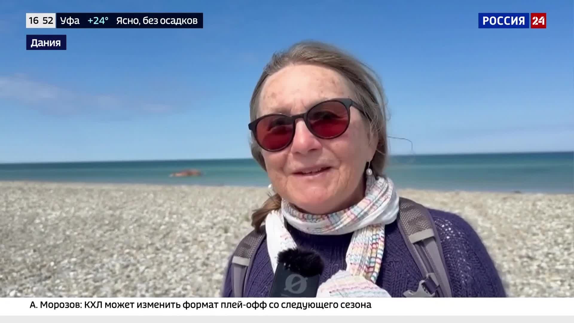 Экологическое происшествие в Балтике: в Дании специалисты МЧС и ученые определяют метод утилизации погибшего горбатого кита