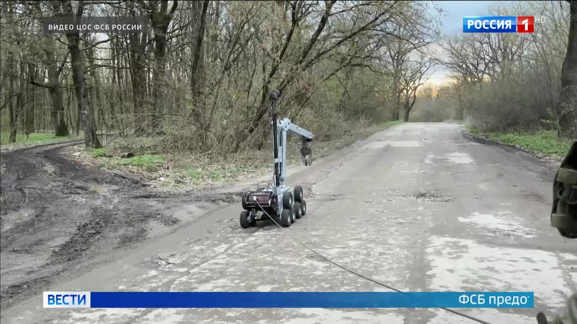 ФСБ предотвратила теракт в Белгородской области, спланированный украинскими спецслужбами