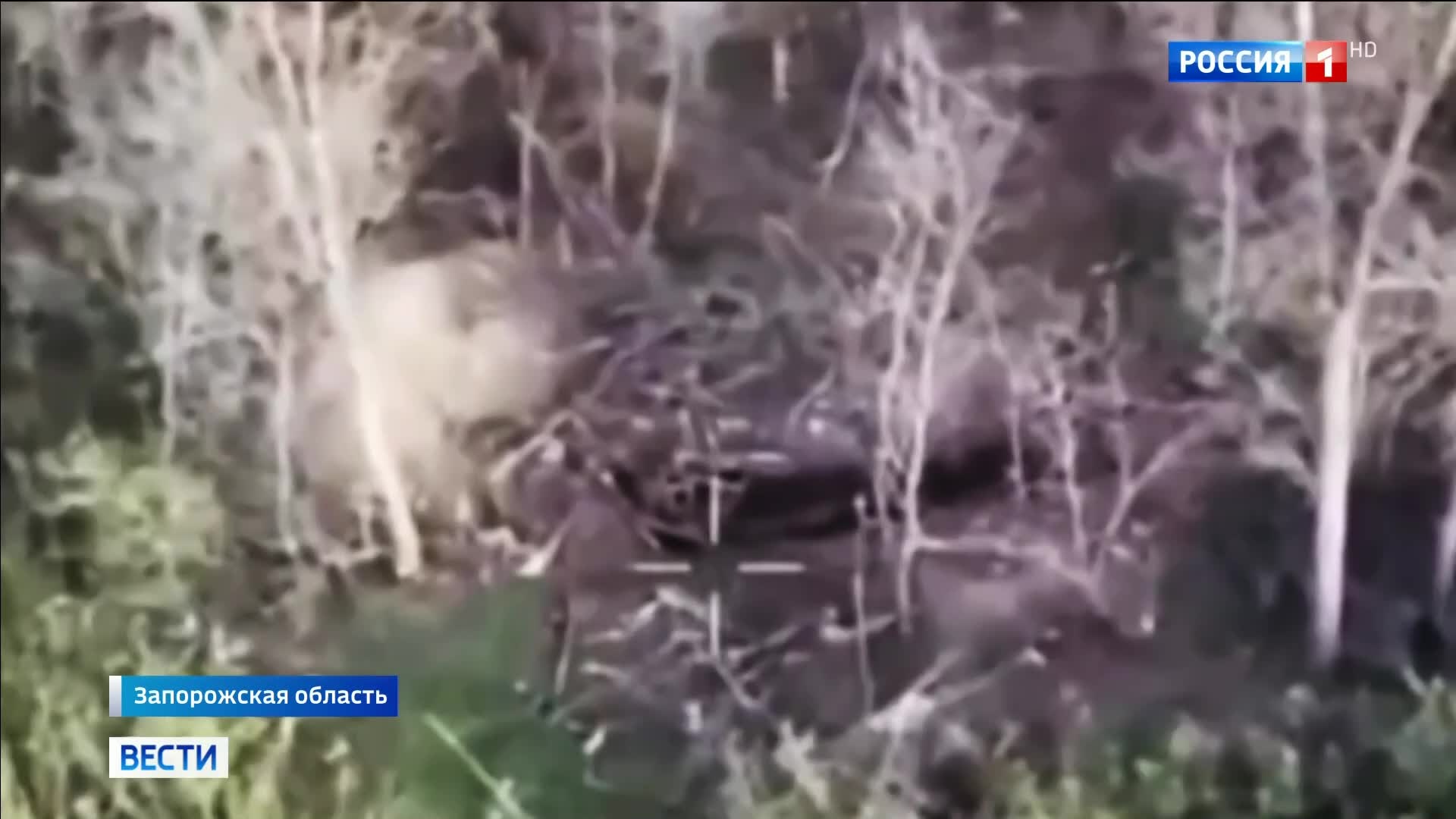 Освобождение Верхней Терсы: Ключевой шаг на Запорожском направлении