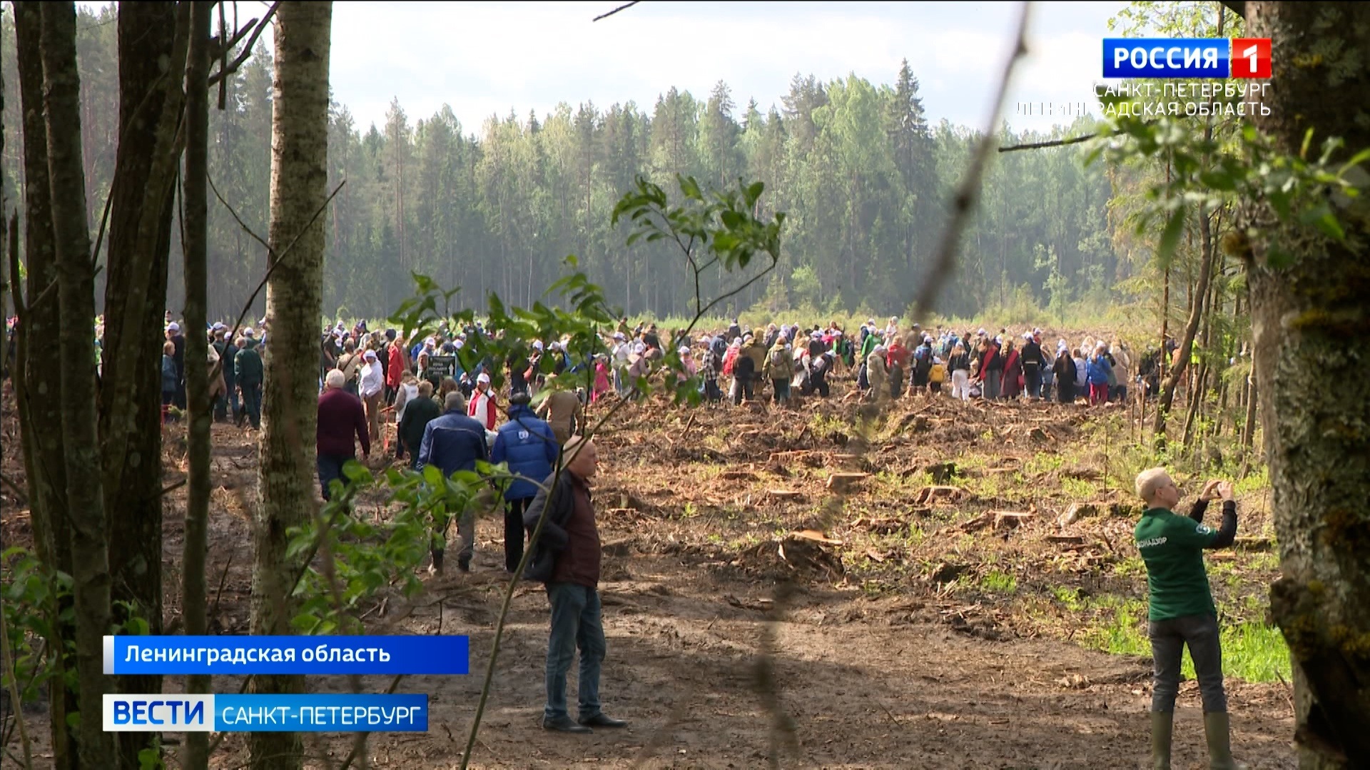 Ленобласть приняла участие во Всероссийской акции "День посадки леса"