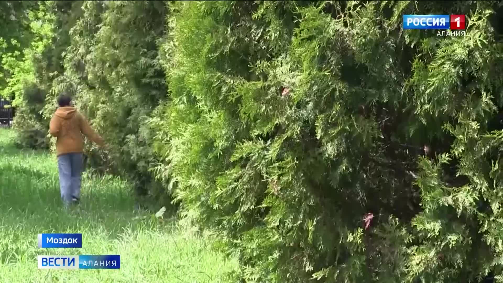 В Моздоке прошли соревнования по спортивной радиопеленгации "Охота на лис"
