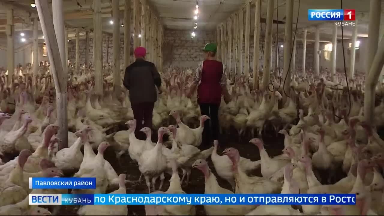 Эфир от 25.05.2026 (11:30)