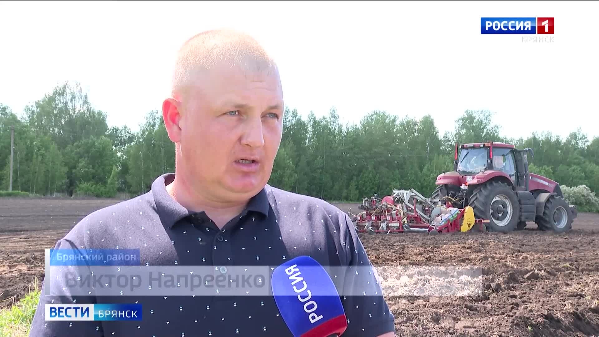 Брянские сельхозпредприятия завершают посадку овощей