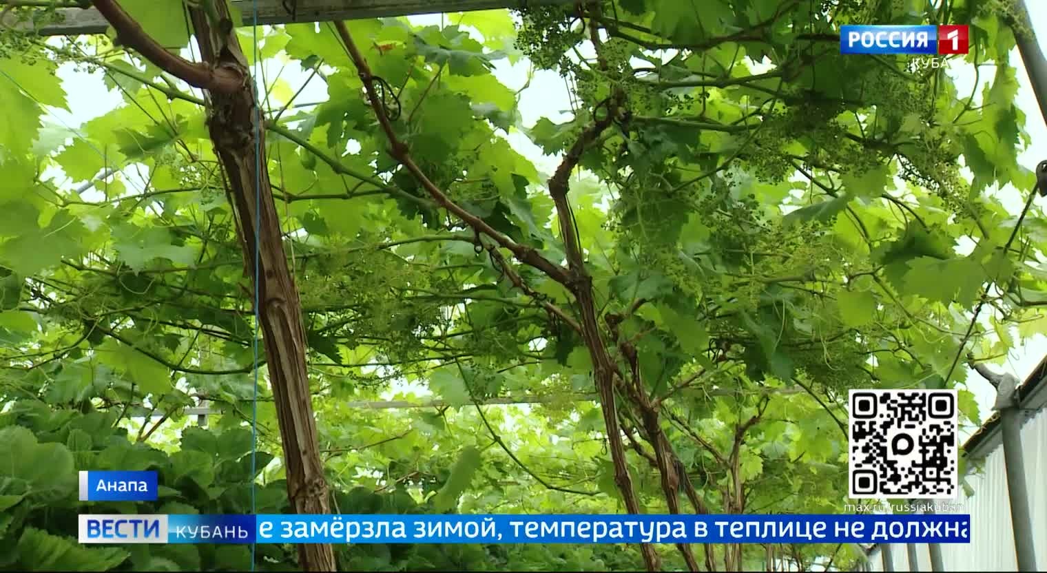 Эфир от 27.05.2026 (11:30)