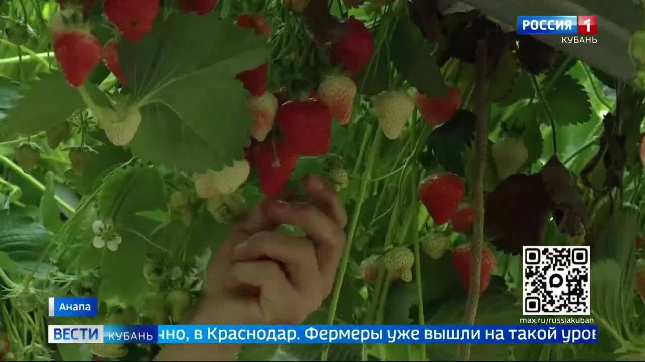 Эфир от 27.05.2026 (11:30)