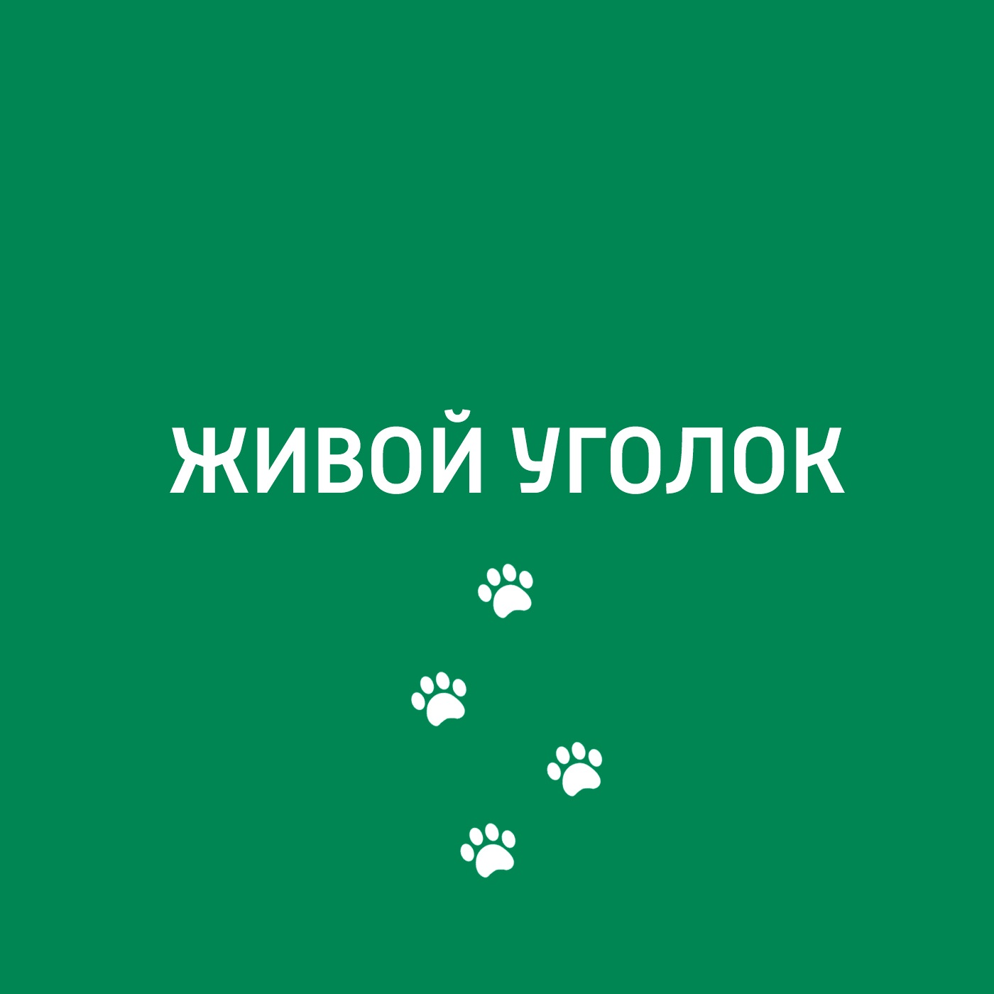 Живой уголок