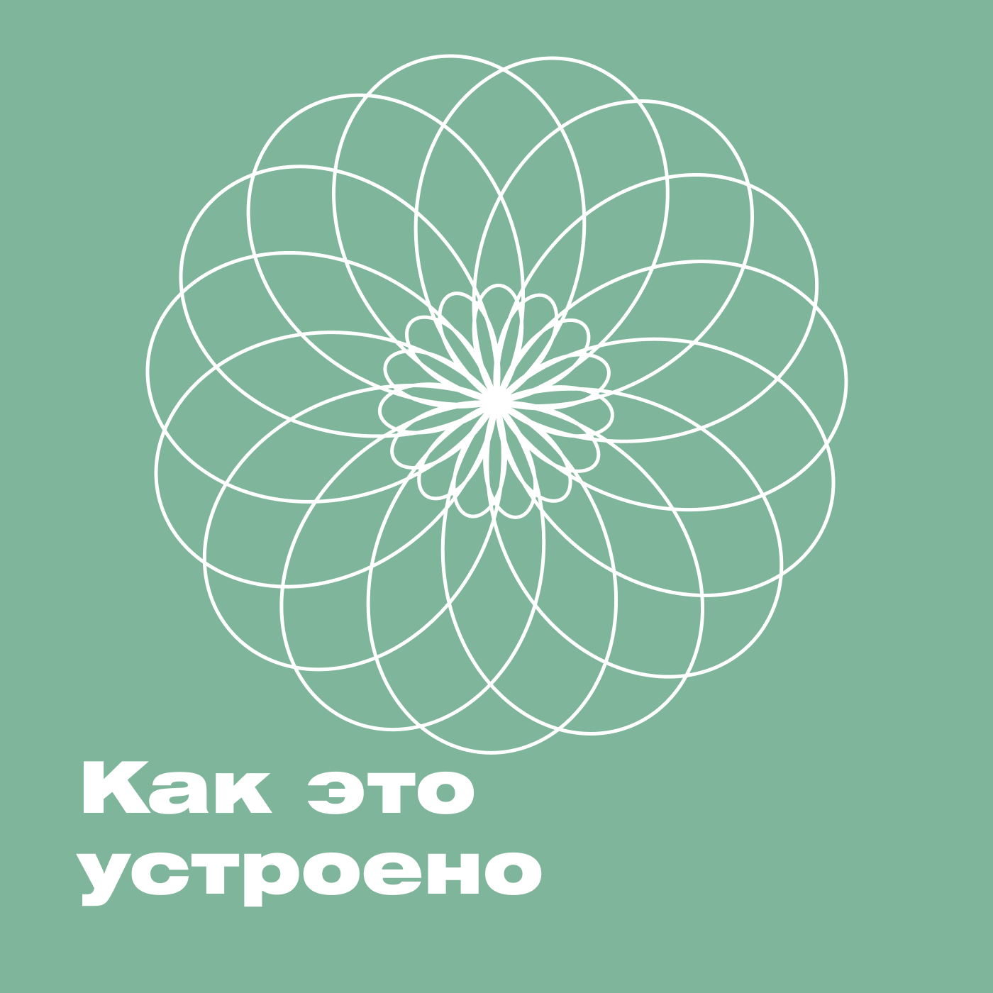 Как это устроено