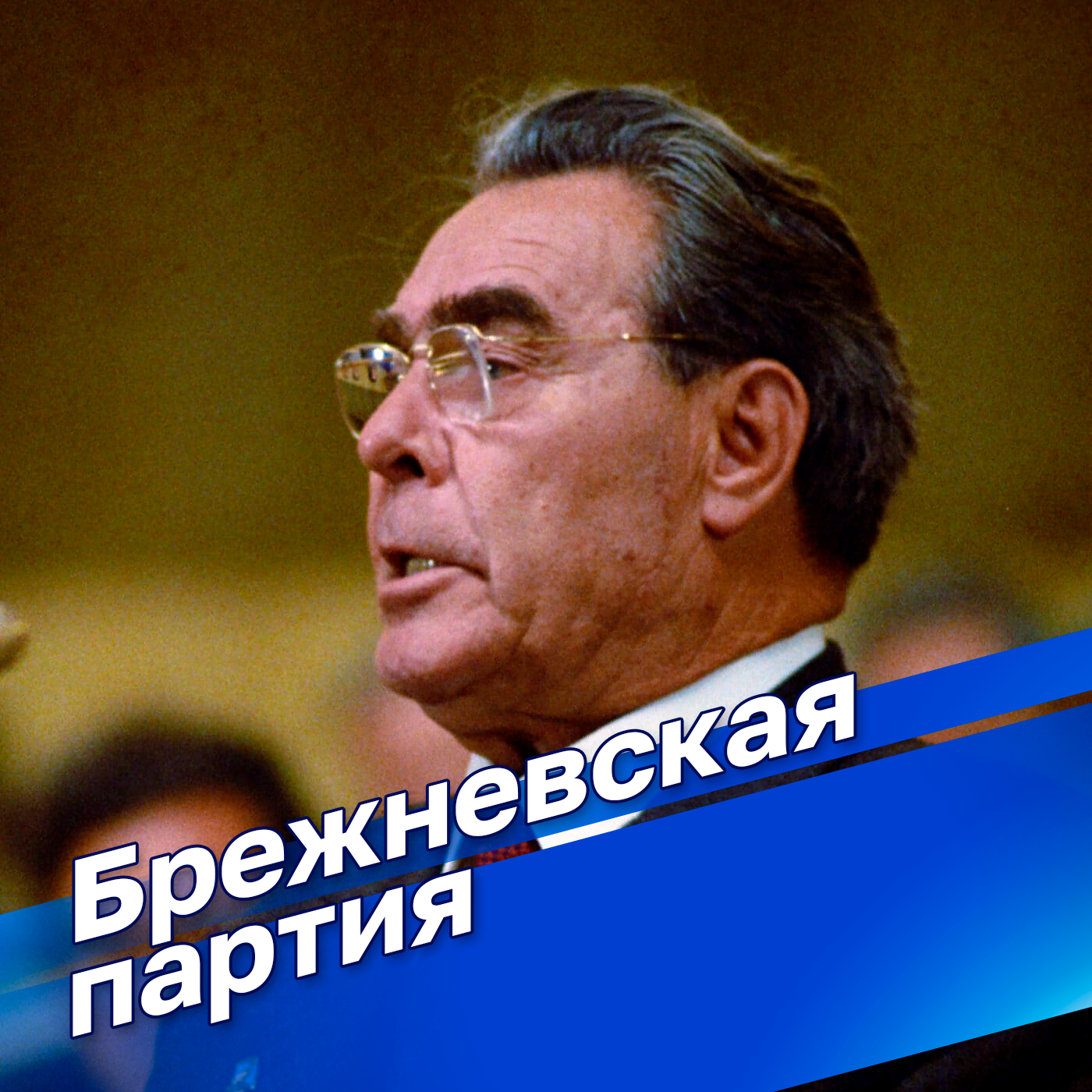 "Брежневская партия". Политический детектив Е. Ю. Спицына: