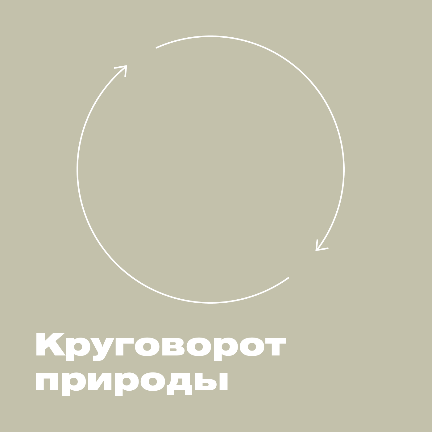 Круговорот природы