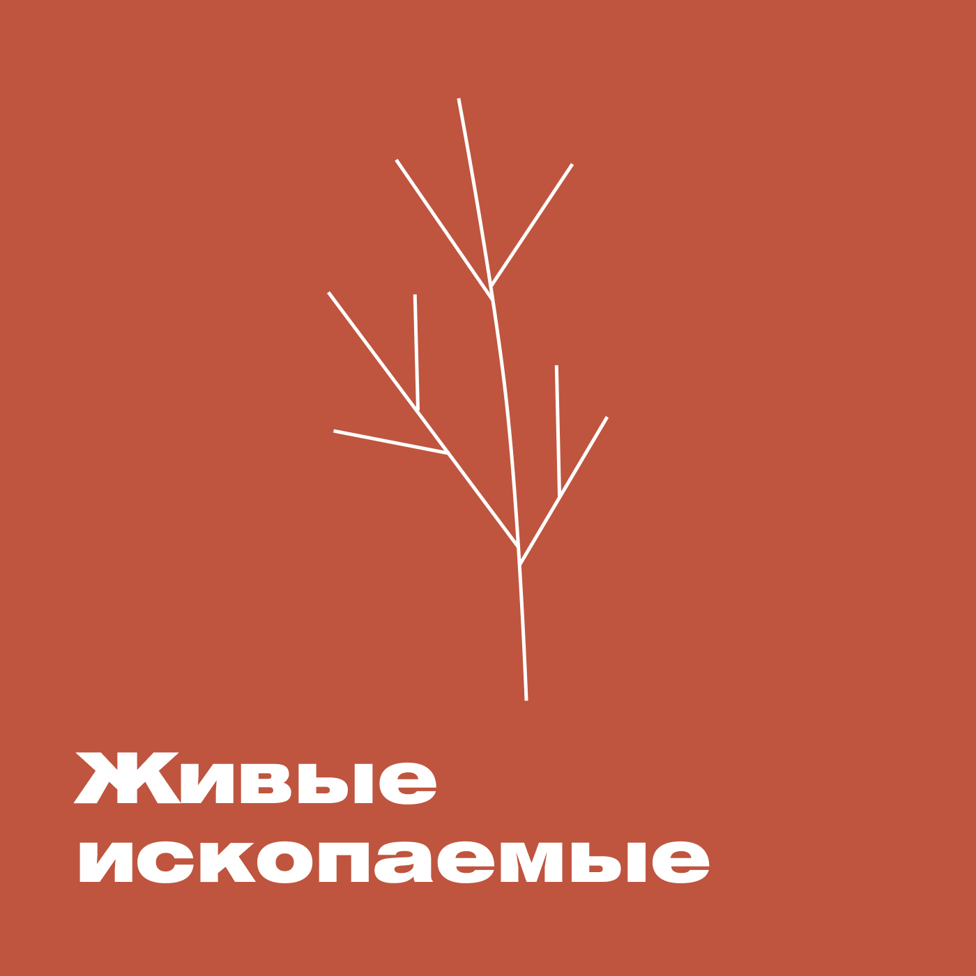Живые ископаемые