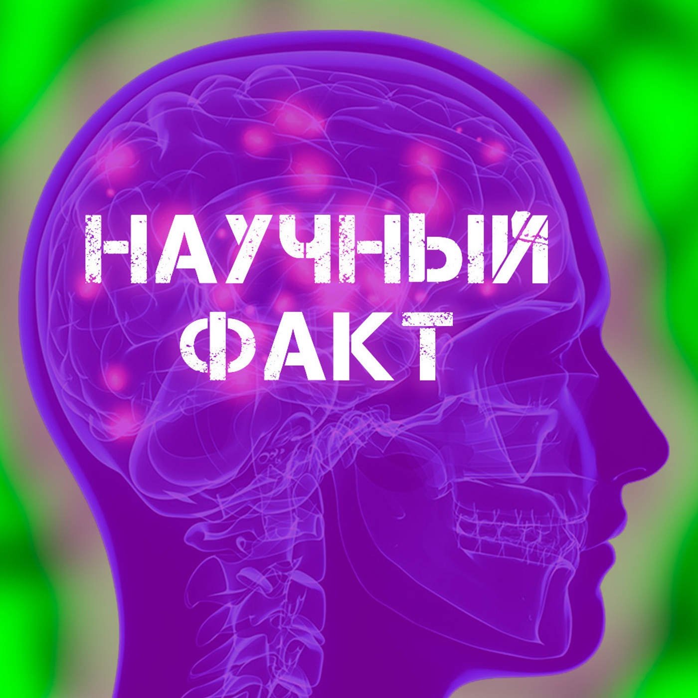 Научный факт