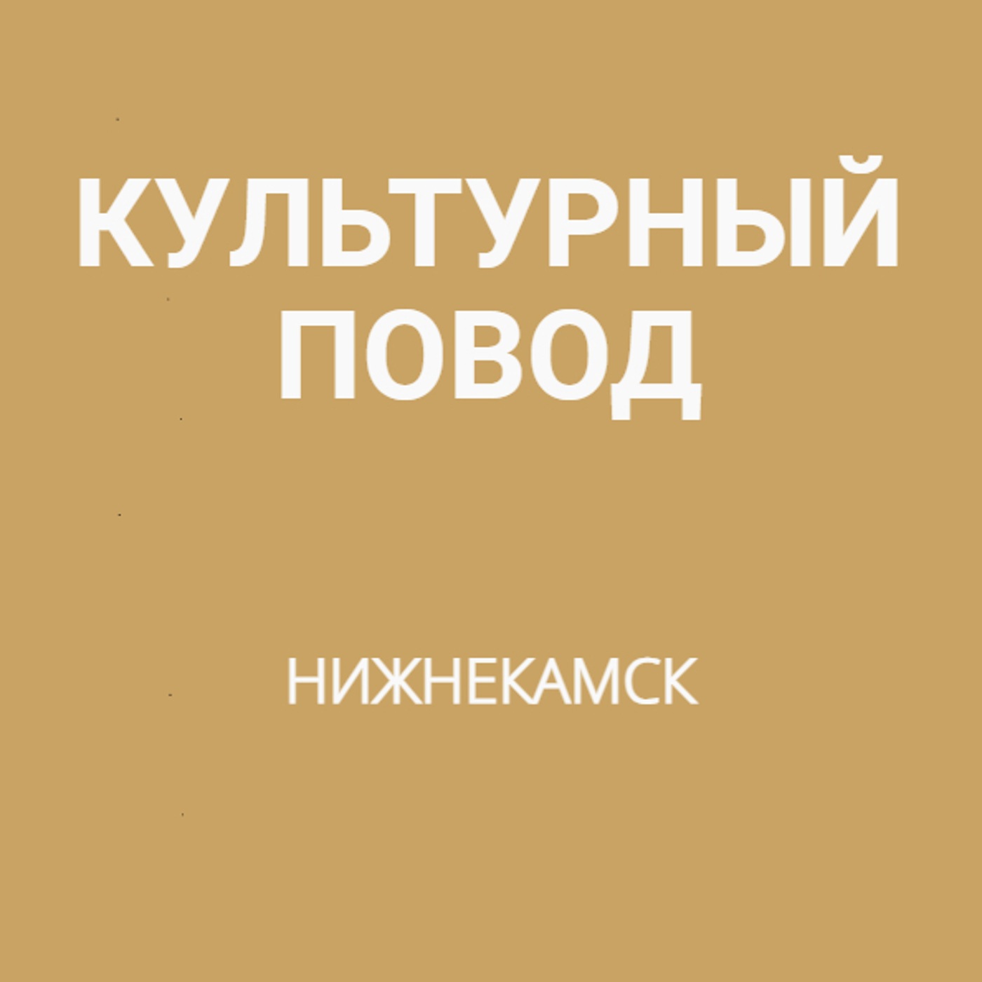 Нижнекамск