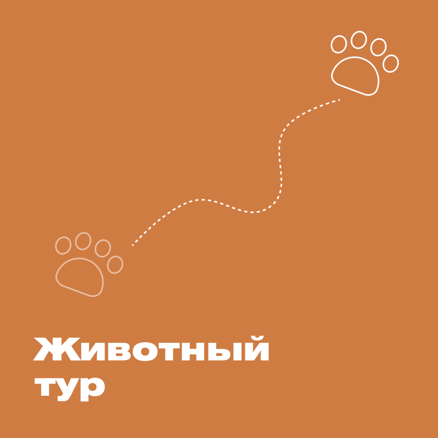 Животный тур