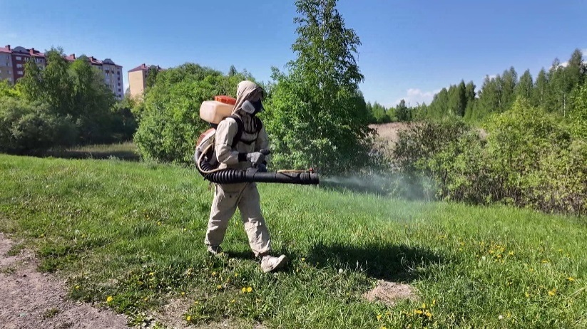 Городские водоемы Тюмени обработают от комаров