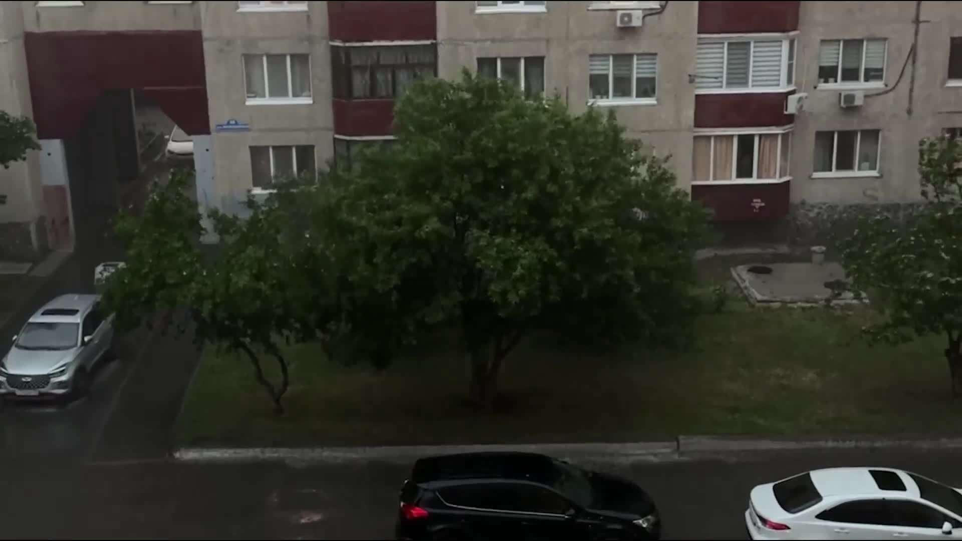 Последствия ливня в Тюмени: поваленные деревья, затопленные улицы и отключения на сетях