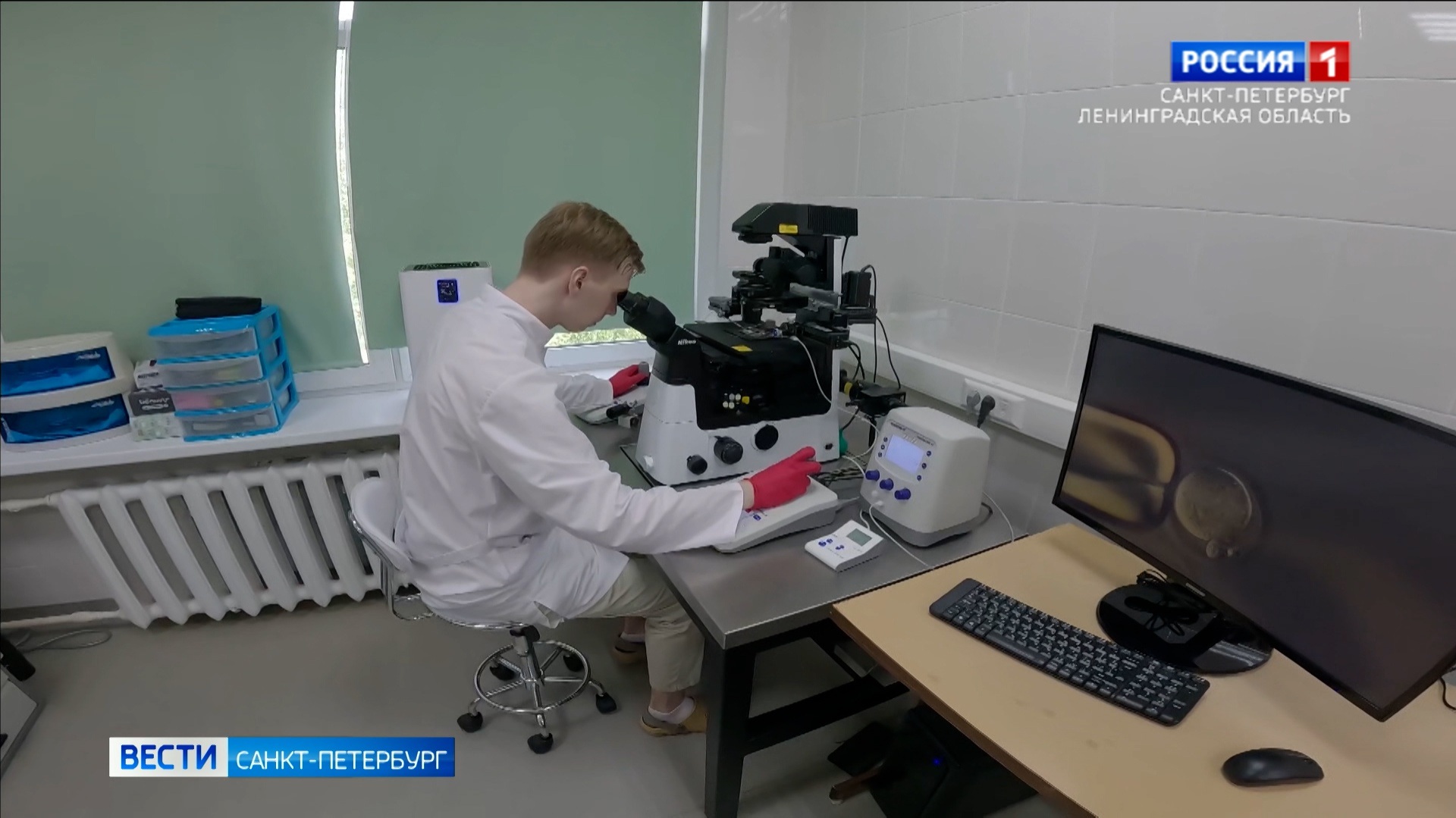 Петербургские ученые проводят эксперименты по редактированию ДНК