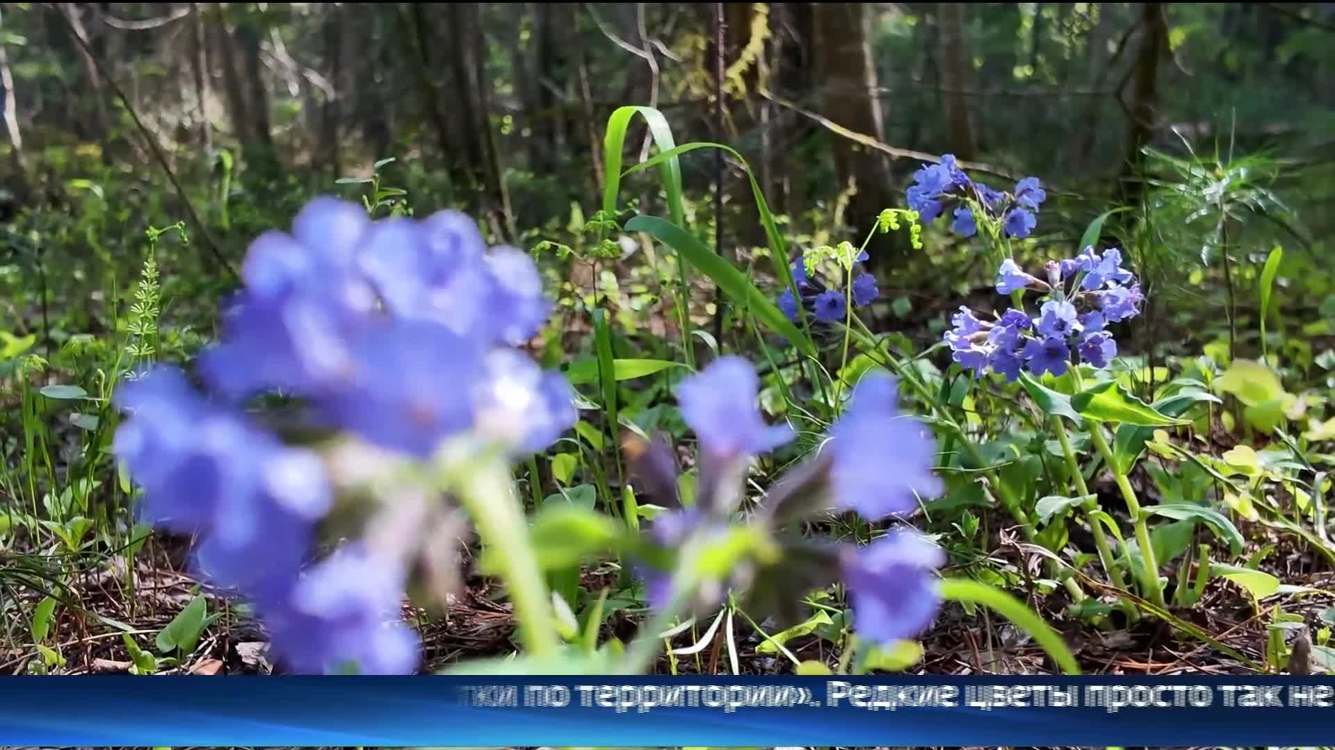 Эфир от 01.06.26 (11:30)