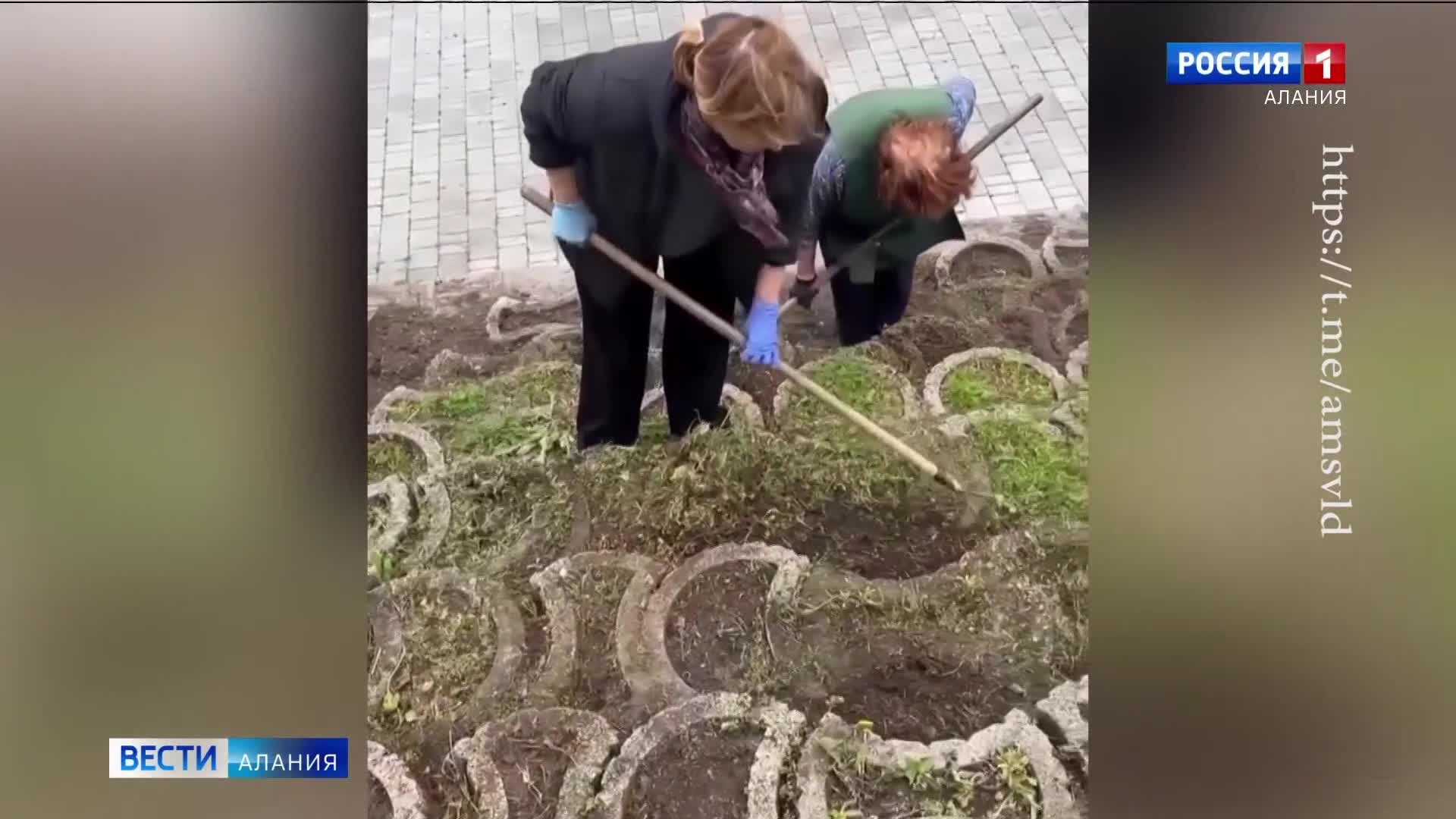 Во Владикавказе появится лавандовая лестница