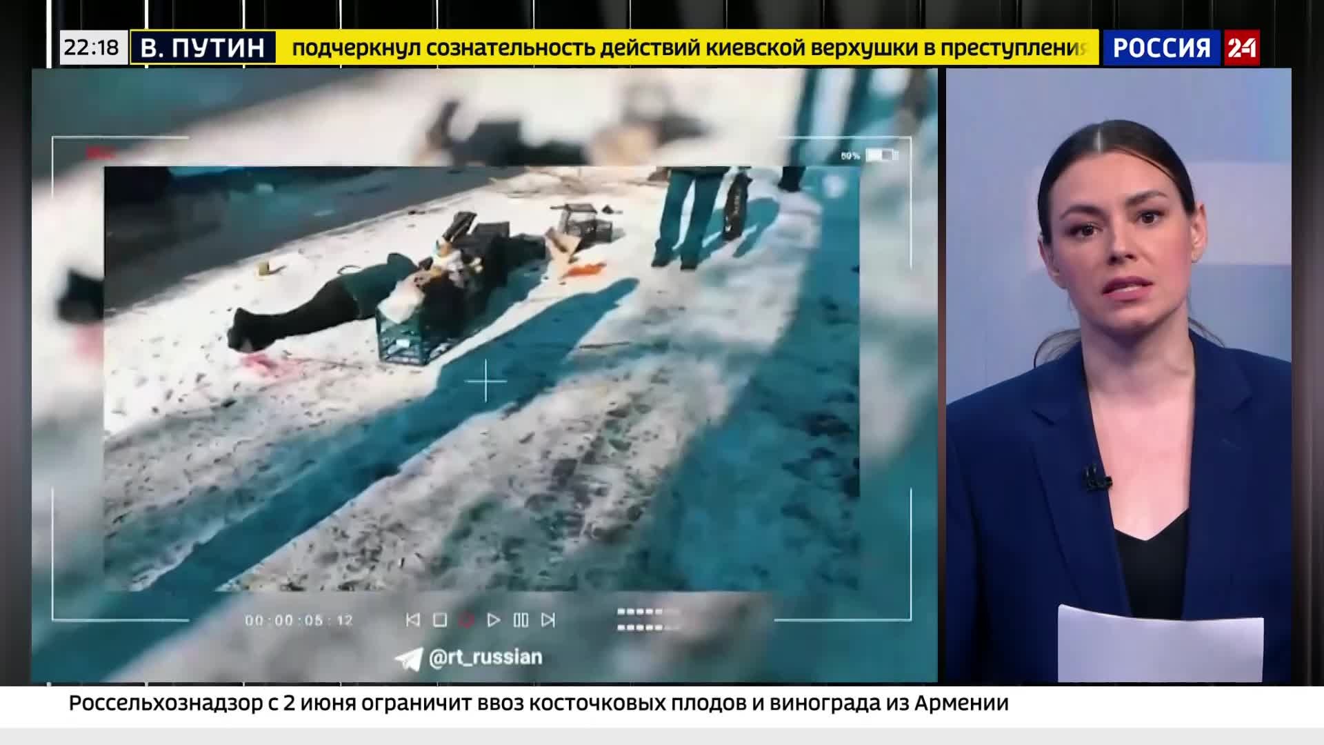 "Невский и Алабай: Дружба и боевая выдержка на Донбассе"