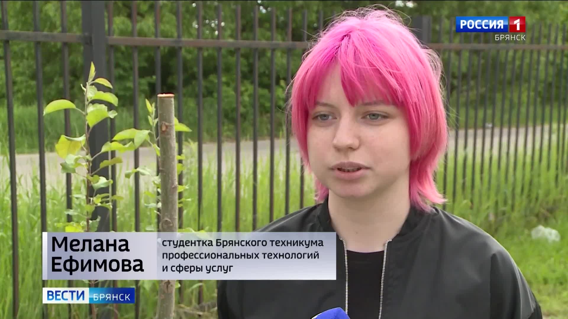 В Брянской области на лето трудоустроят около 800 школьников и студентов