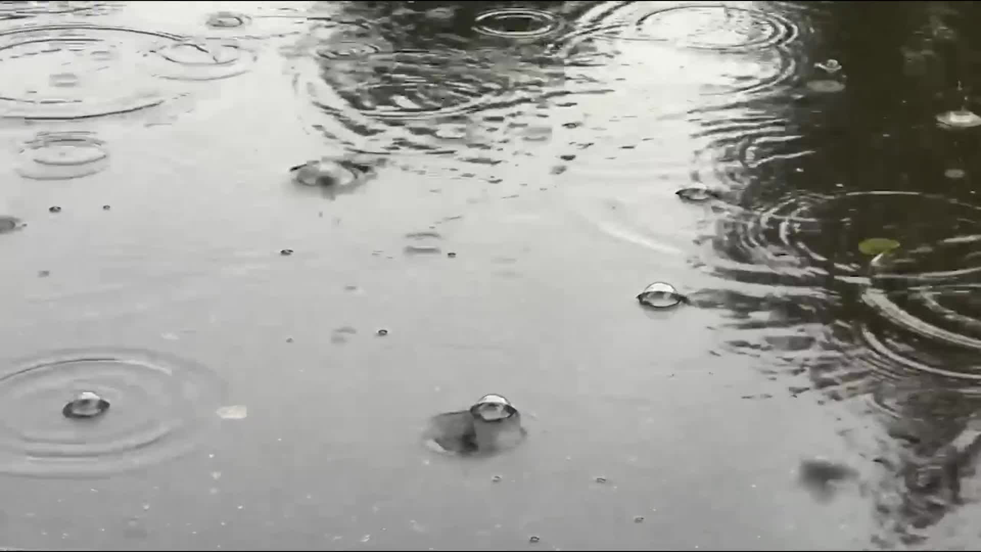 Жителям частного сектора Тюмени пришлось откачивать воду после ливня