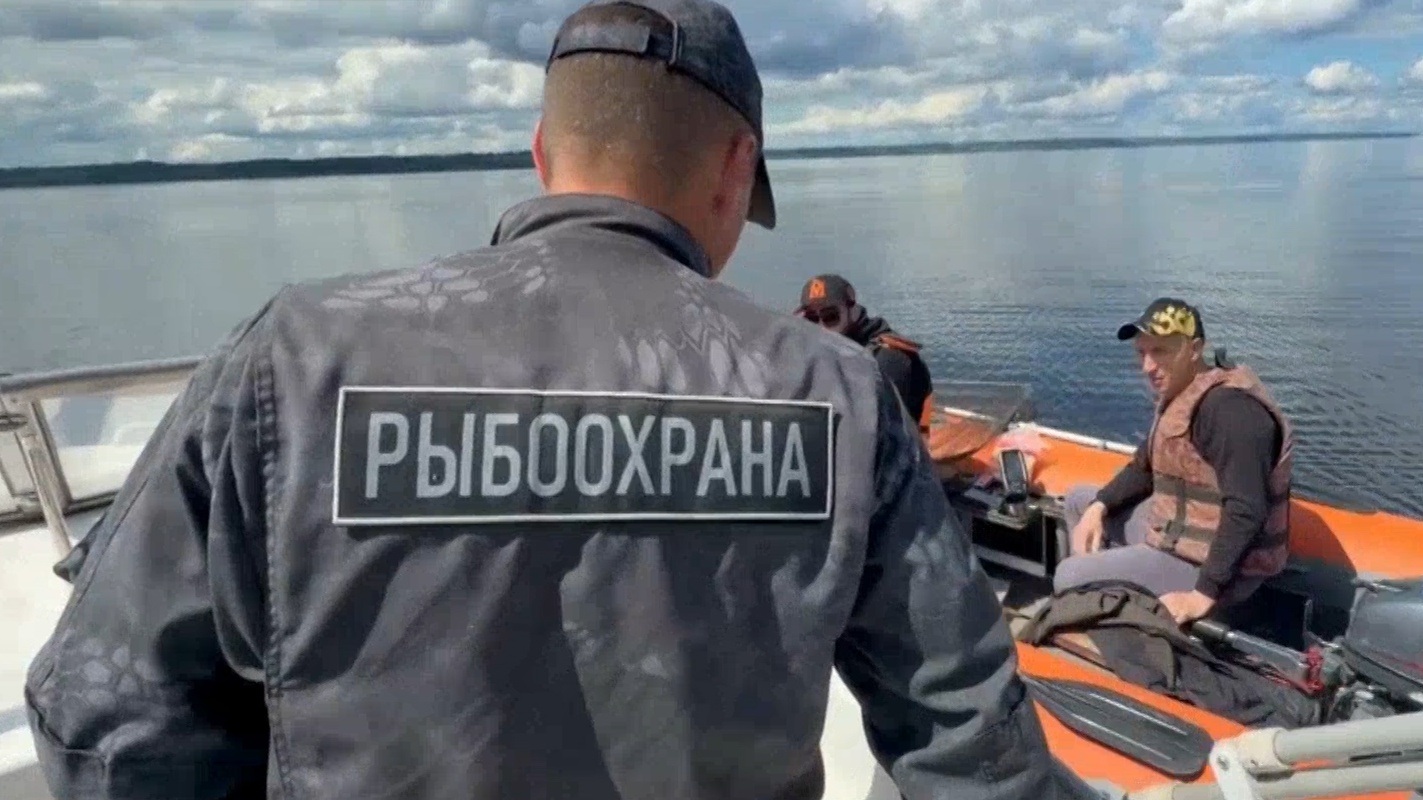 15 протоколов составили на браконьеров в ходе акции «Волга без сетей» в Марий Эл