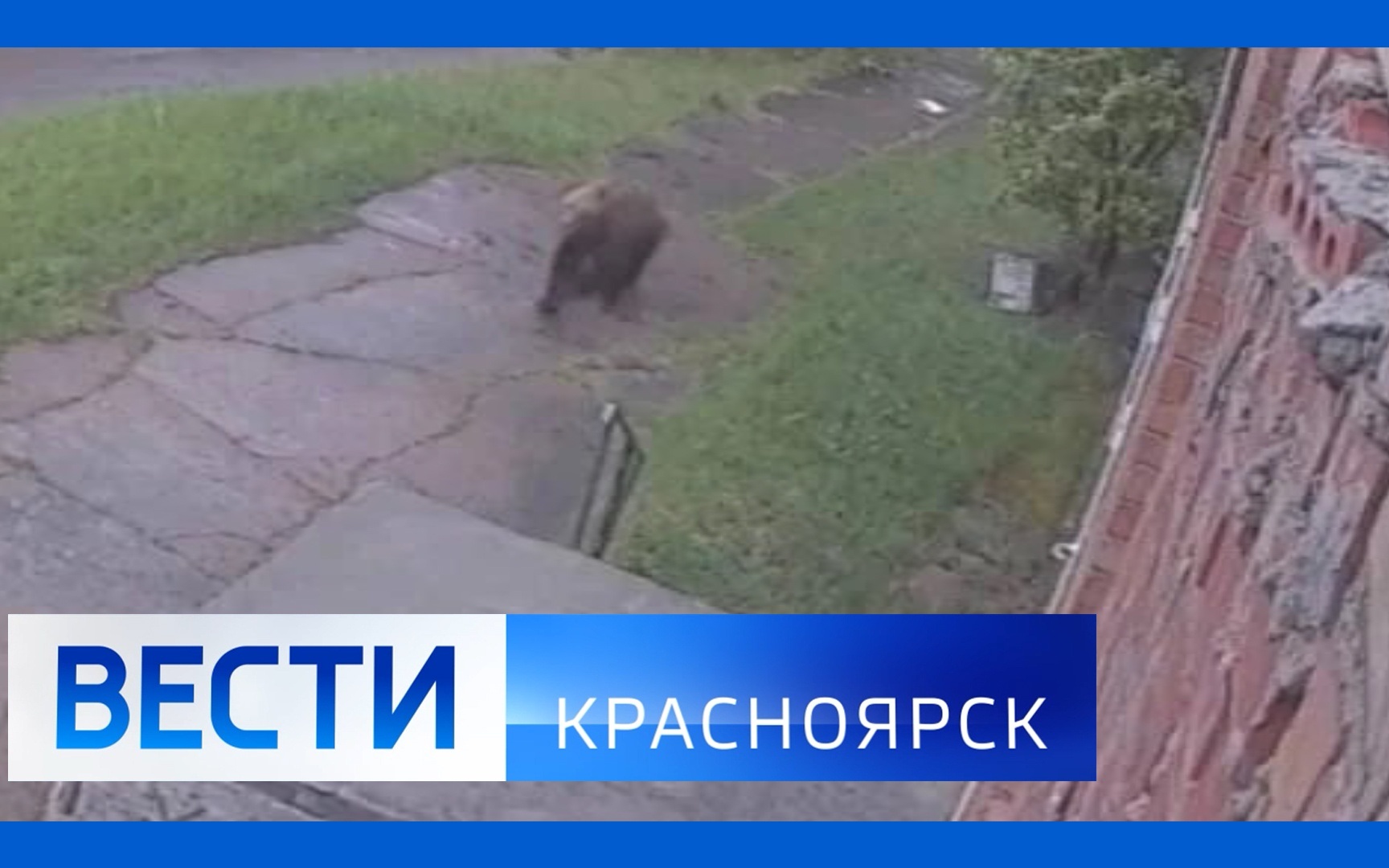 Эфир от 02.06.2026