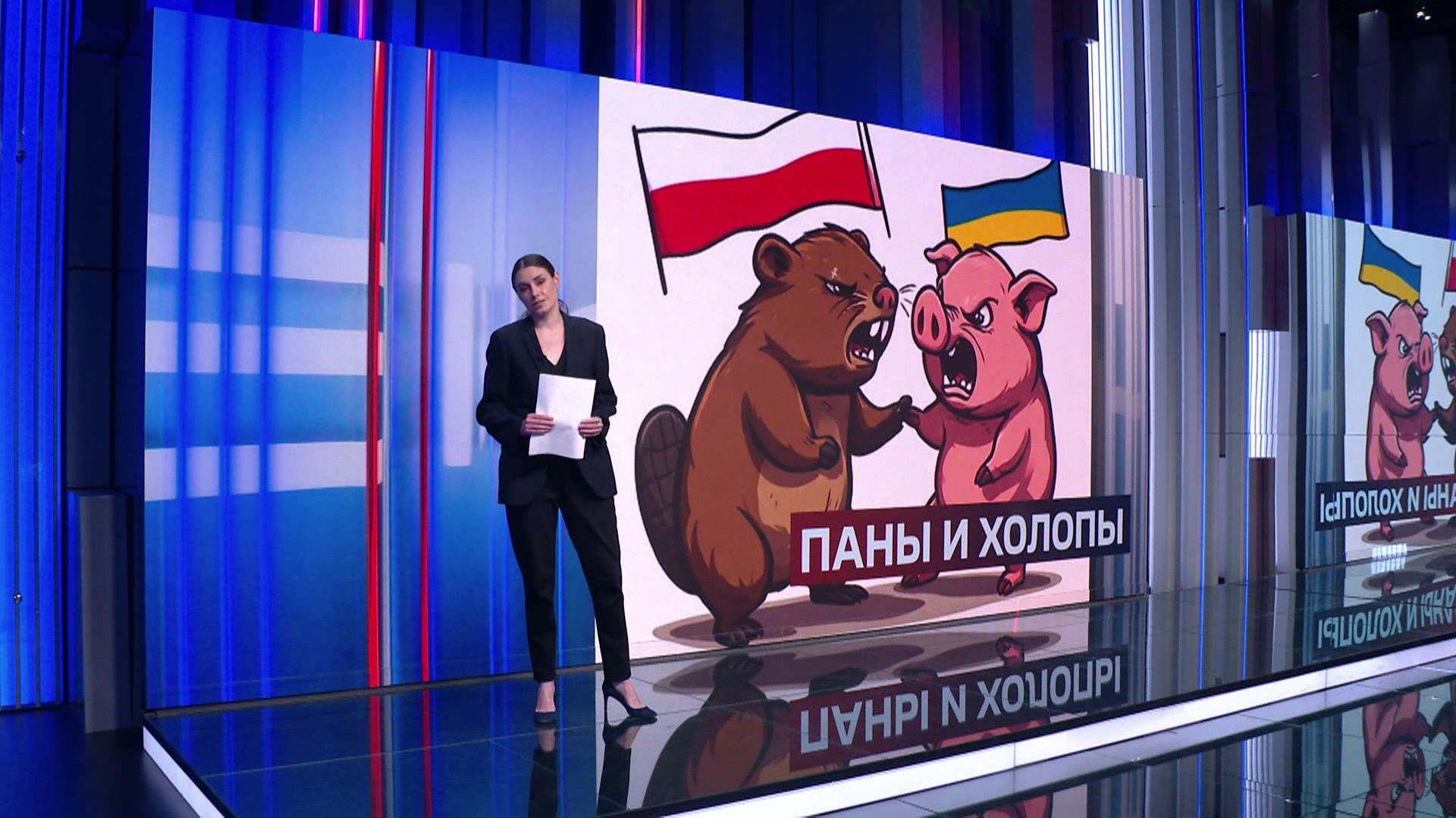 В Польше потребовали лишить Зеленского Ордена Белого Орла