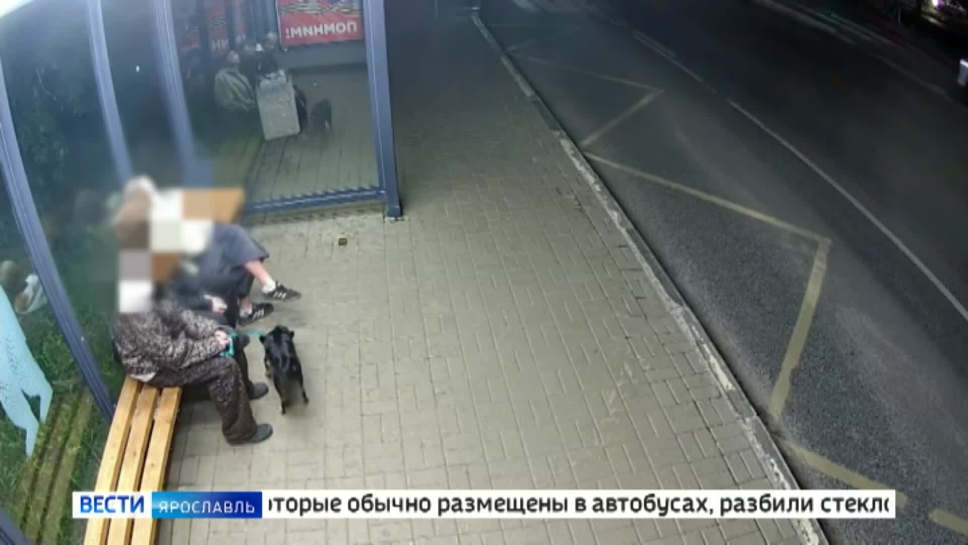 Эфир от 04.06.2026 (11:30)