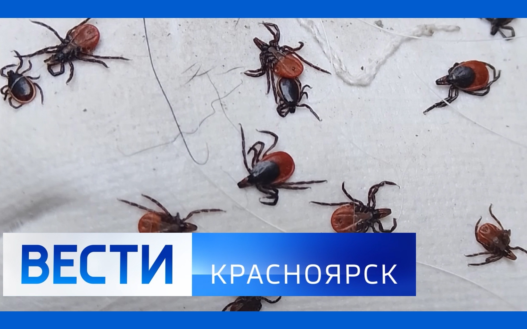 Эфир от 4.06.2026
