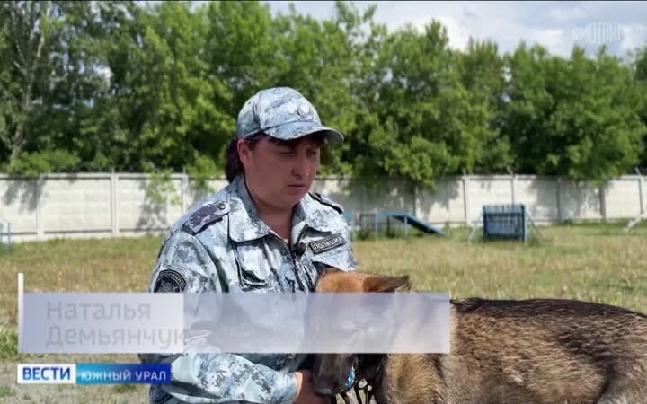 Челябинские кинологи поделились нюансами воспитания служебных собак