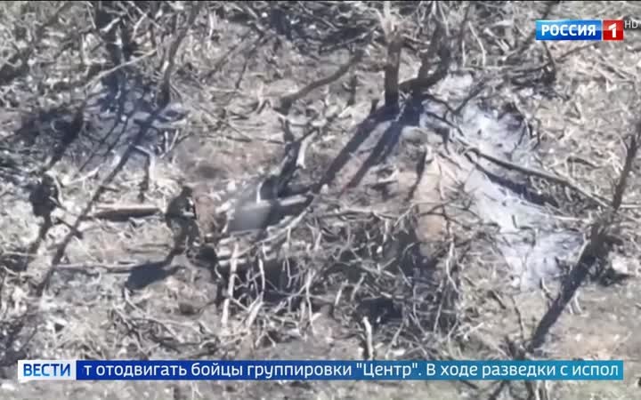 В приграничье Харьковской области российские войска закрепились у села Покаляное