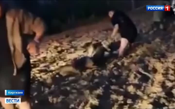 Обвал у озера Иссык-Куль: спасатели ищут пропавшего школьника под завалами