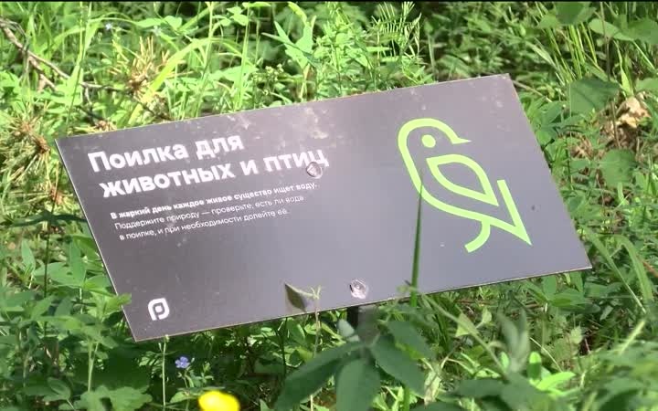 Кормушки и "гостиницы" для насекомых установили в тюменском экопарке