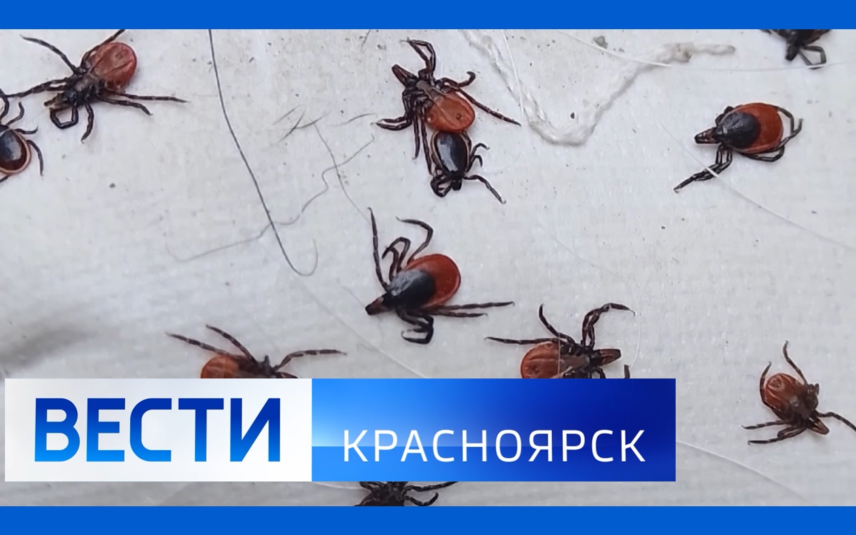Эфир от 08.06.2026