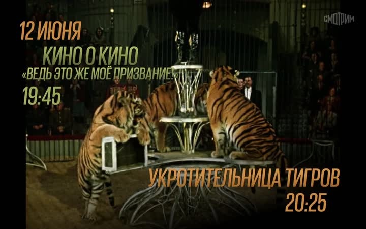 Кино о кино "Ведь это же призвание". Укротительница тигров. 12 июня