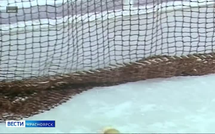 Ушёл из жизни экс-депутат Заксобрания края Всеволод Севастьянов