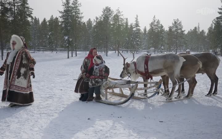 Пуровские ненцы. Люди леса