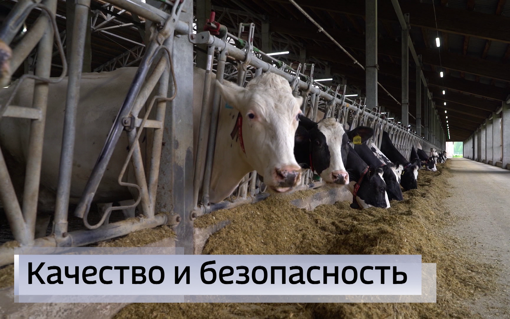 Эфир от 09.06.2026 (11:30)