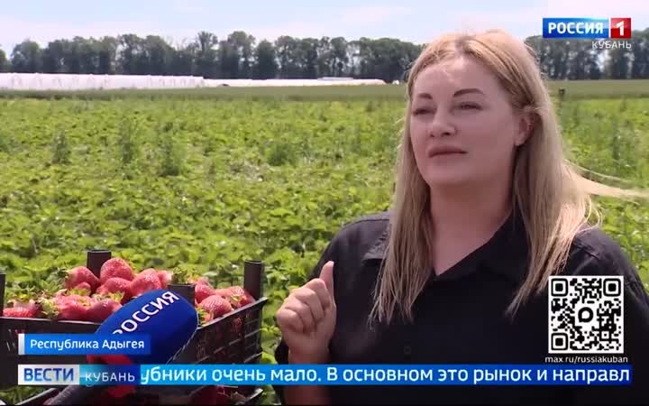 Эфир от 09.06.2026 (11:30)