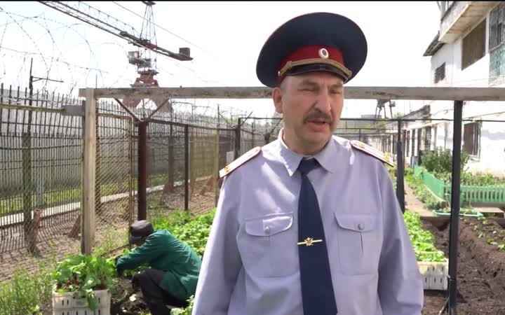 Тюменские заключенные собрали первый урожай редиса