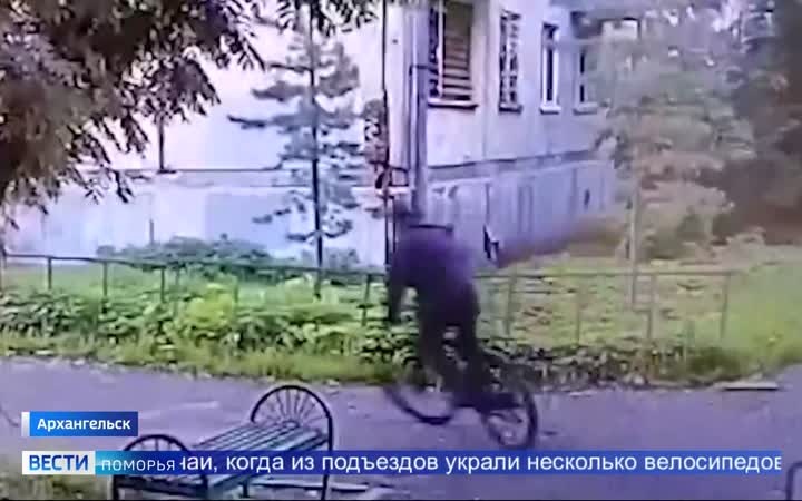 Вести Поморья в 11:30, эфир 10 июня