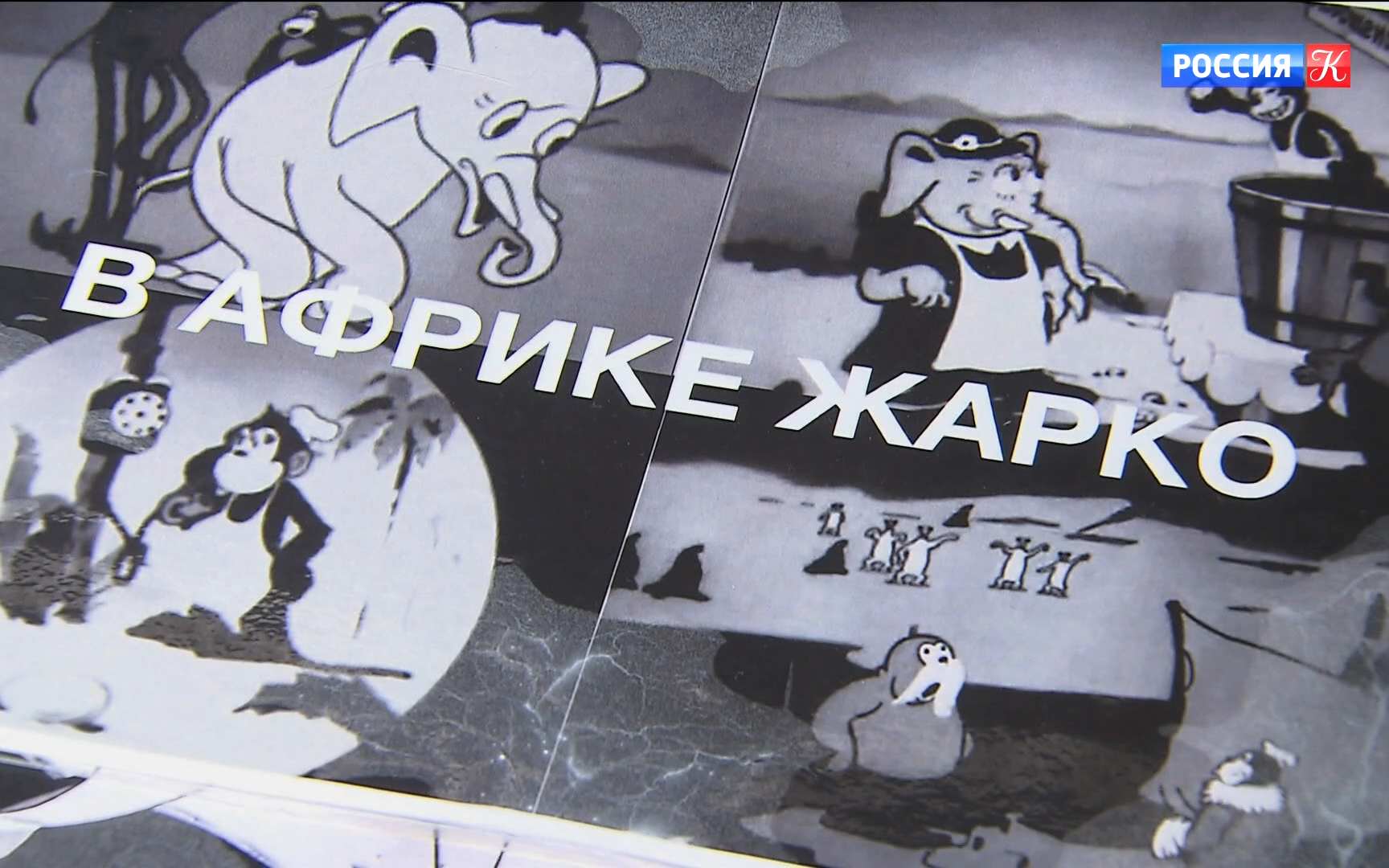 Эфир 10.06.2026 · 19:30