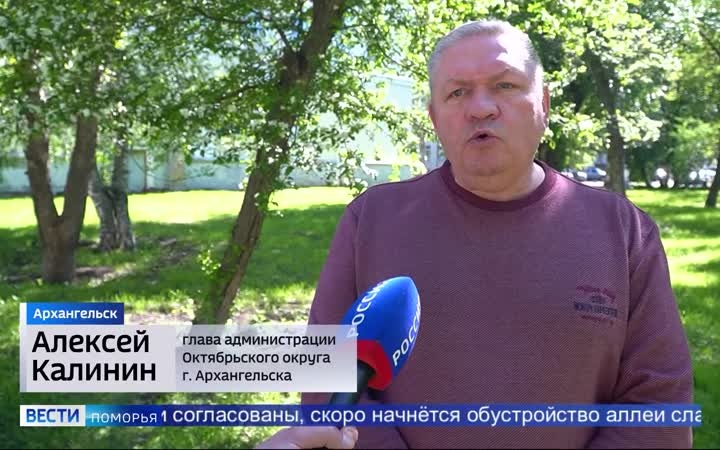 В Архангельске продолжается инвентаризация деревьев
