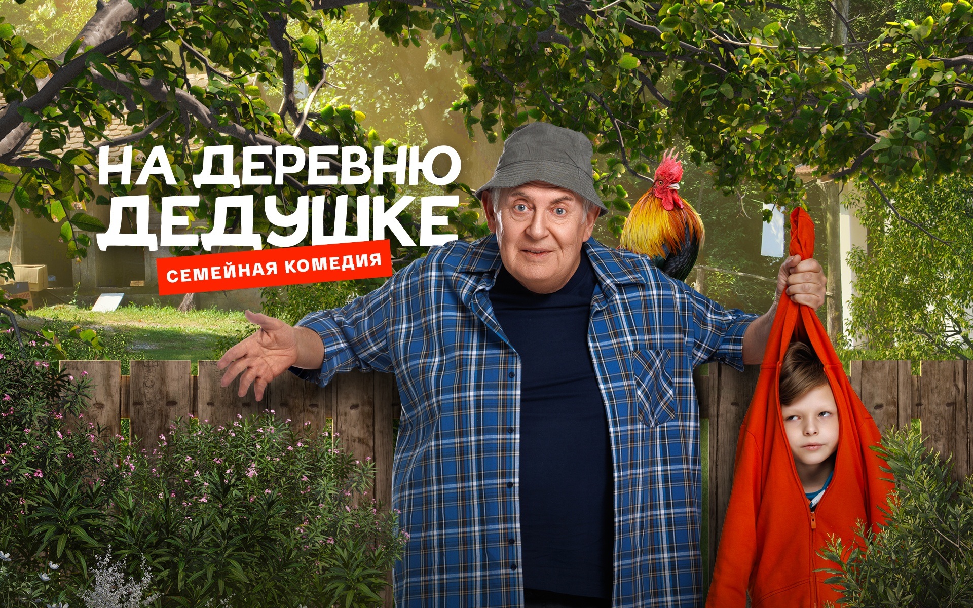 На деревню дедушке