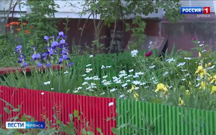 Брянские управляющие компании игнорируют график покоса травы