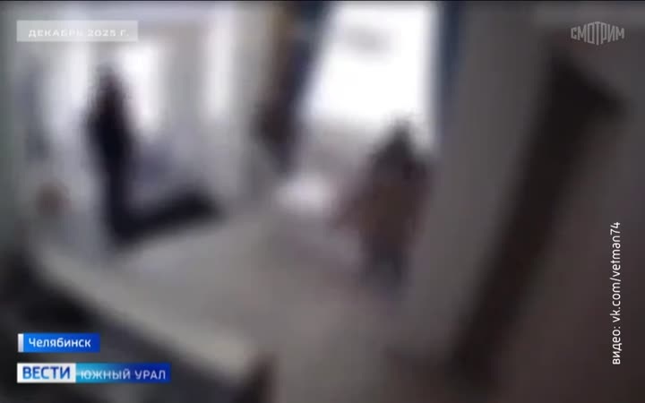 Житель Челябинска постирал кота и попал под суд
